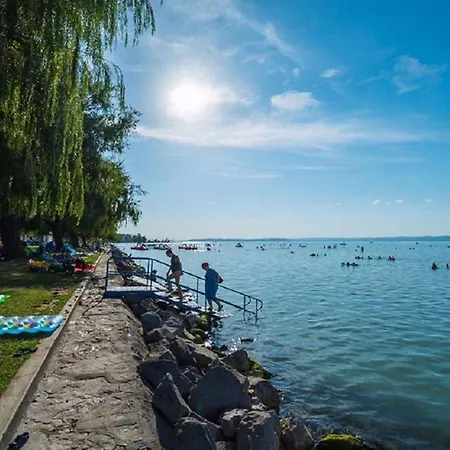 In - Balaton 45810