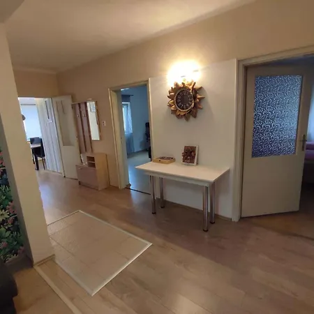 In - Balaton 45810 *