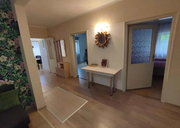 In - Balaton 45810 *